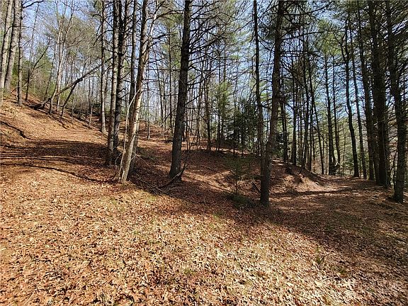 3rd image of TBD (Lot 73) Creekside Meadows Drive