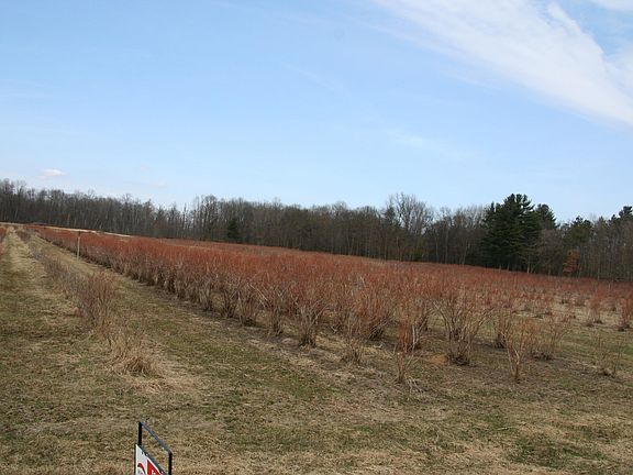 2nd image of 56888 County Road 380