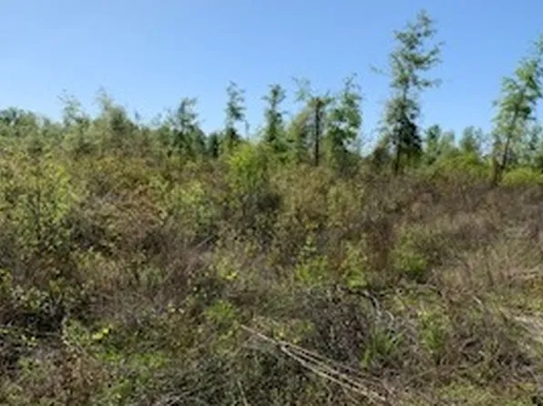 68 Street, Live Oak, FL 32060