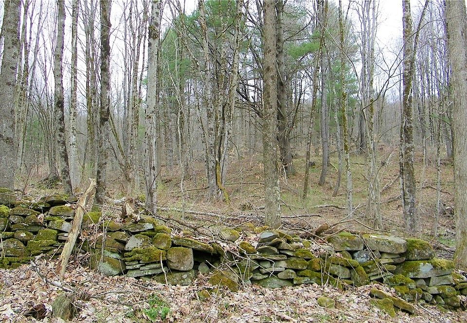1st image of LOT 6 Salisbury Rd Lot 6