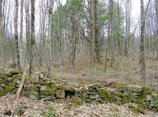 LOT 6 Salisbury Rd LOT 6, Westdale, NY 13483