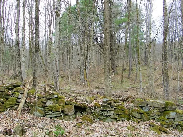 LOT 6 Salisbury Rd Lot 6, Westdale, NY 13483