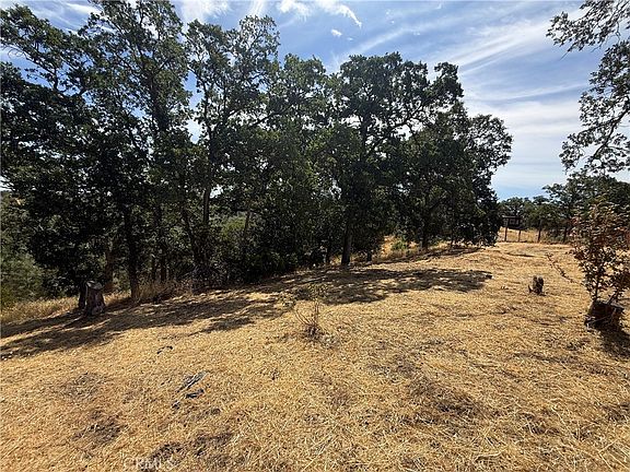 3rd image of 16318 Longhorn Ln Lot 1179