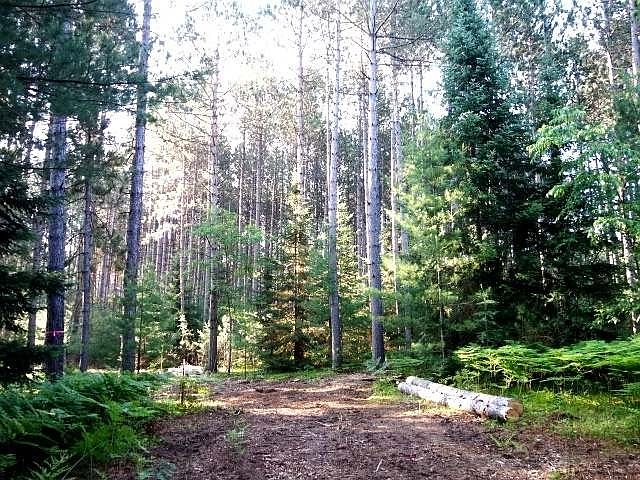 1st image of Curtis Lake Dr Lot 1