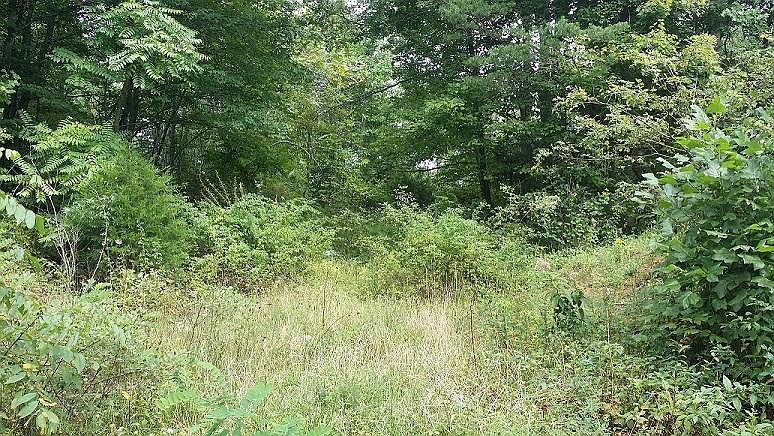 1st image of LOT 33 Oriole Ct