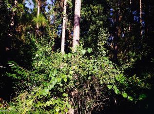 0 Cypress Lakes Dr, Jacksonville, FL 32256