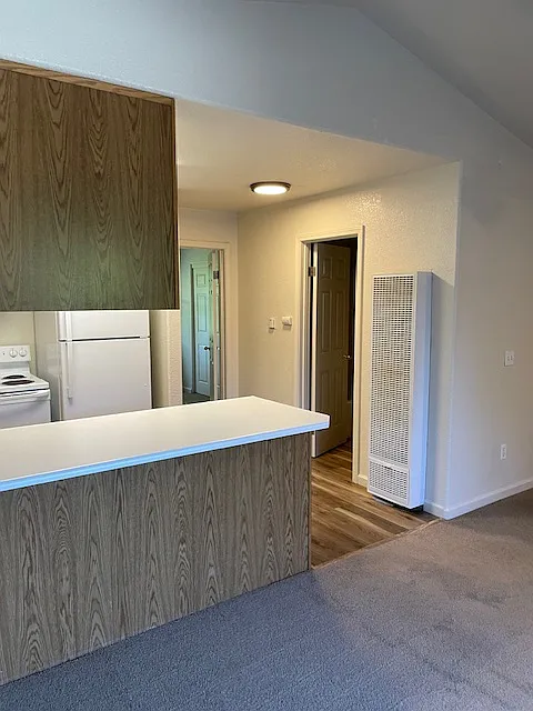 1 bed, $1,650 — Photo 3