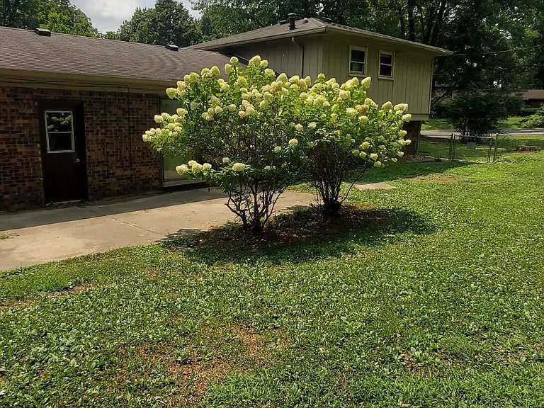 372 Redbud Pl — Photo 2