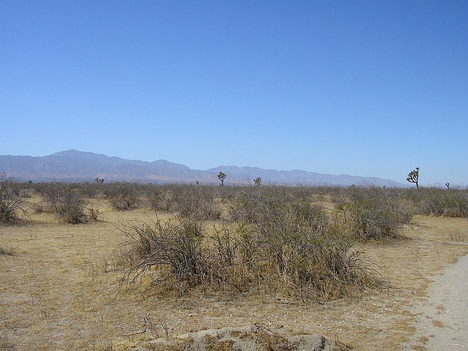 2nd image of South St