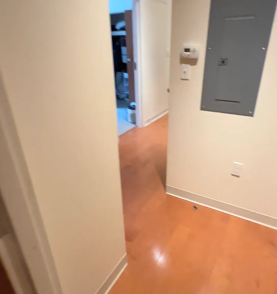 1 bed, $3,200 — Photo 2