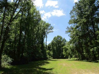 W 4th Ct, Greenville, FL, 32331