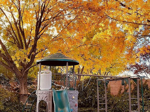 Beautiful fall colors