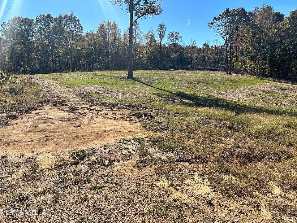 2nd image of 5163 Highway 51 S #11