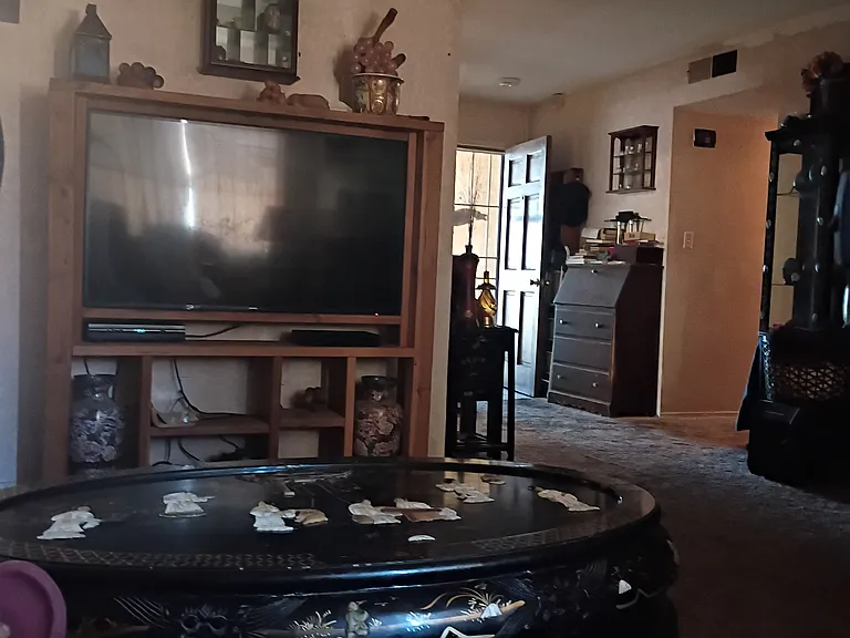 3713 Pacino Ct #1 — Photo 13
