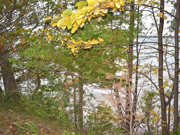 5th image of 0 E Elk Lake Dr