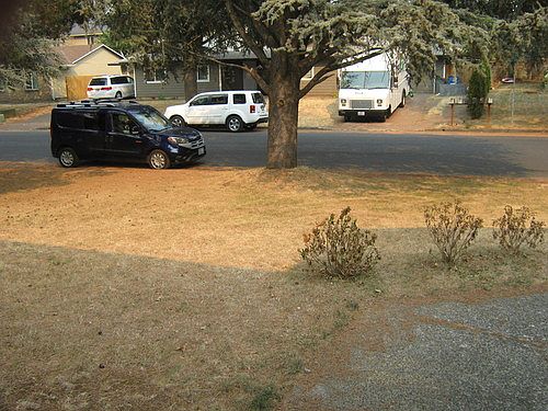 3rd image of 1514 NE 141st Ave