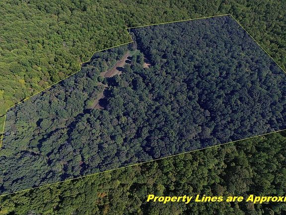 2nd image of 0 Forest Rd