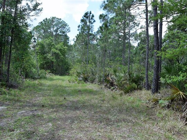 Osteen FL Land & Lots For Sale - 28 Listings | Zillow