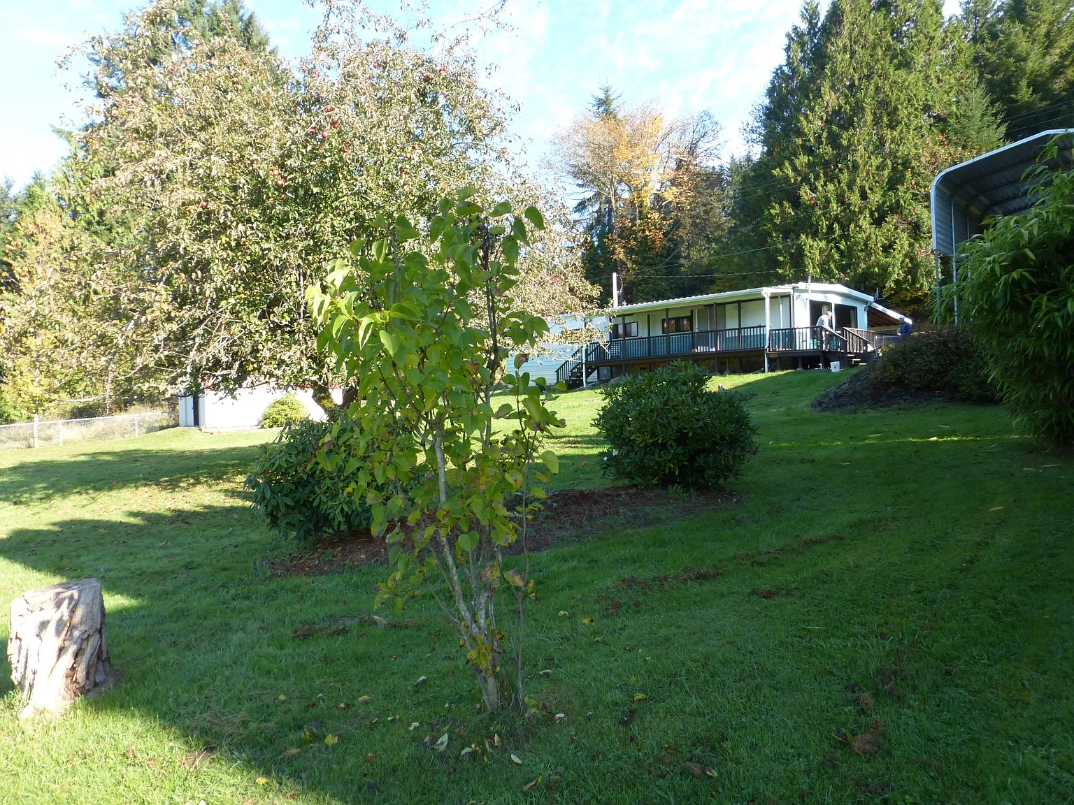 Rutters Rd, Clatskanie — Photo 3