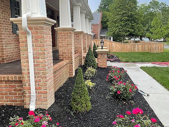 Landscaping shrubs and roses
