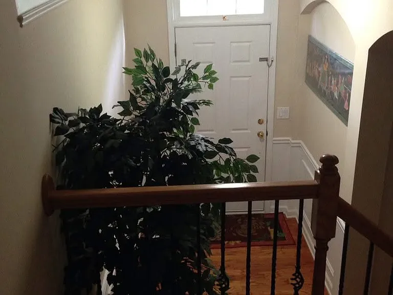 6220 Imes Way — Photo 12
