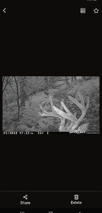 2nd image of N3667 Scenic Dr