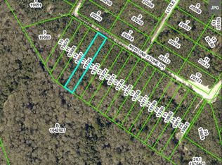 Medicine Stone Dr, Webster, FL 33597