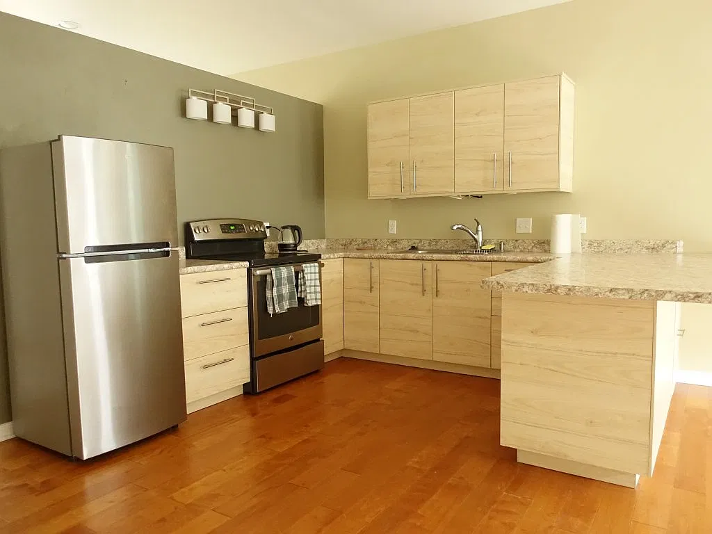 Studio, 675 sqft, $1,275 — Photo 4
