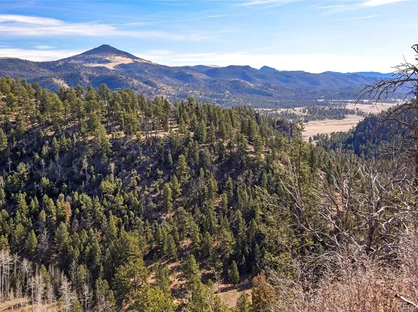 292 Chateau West Drive LOT 55054116, Florissant, CO 80816