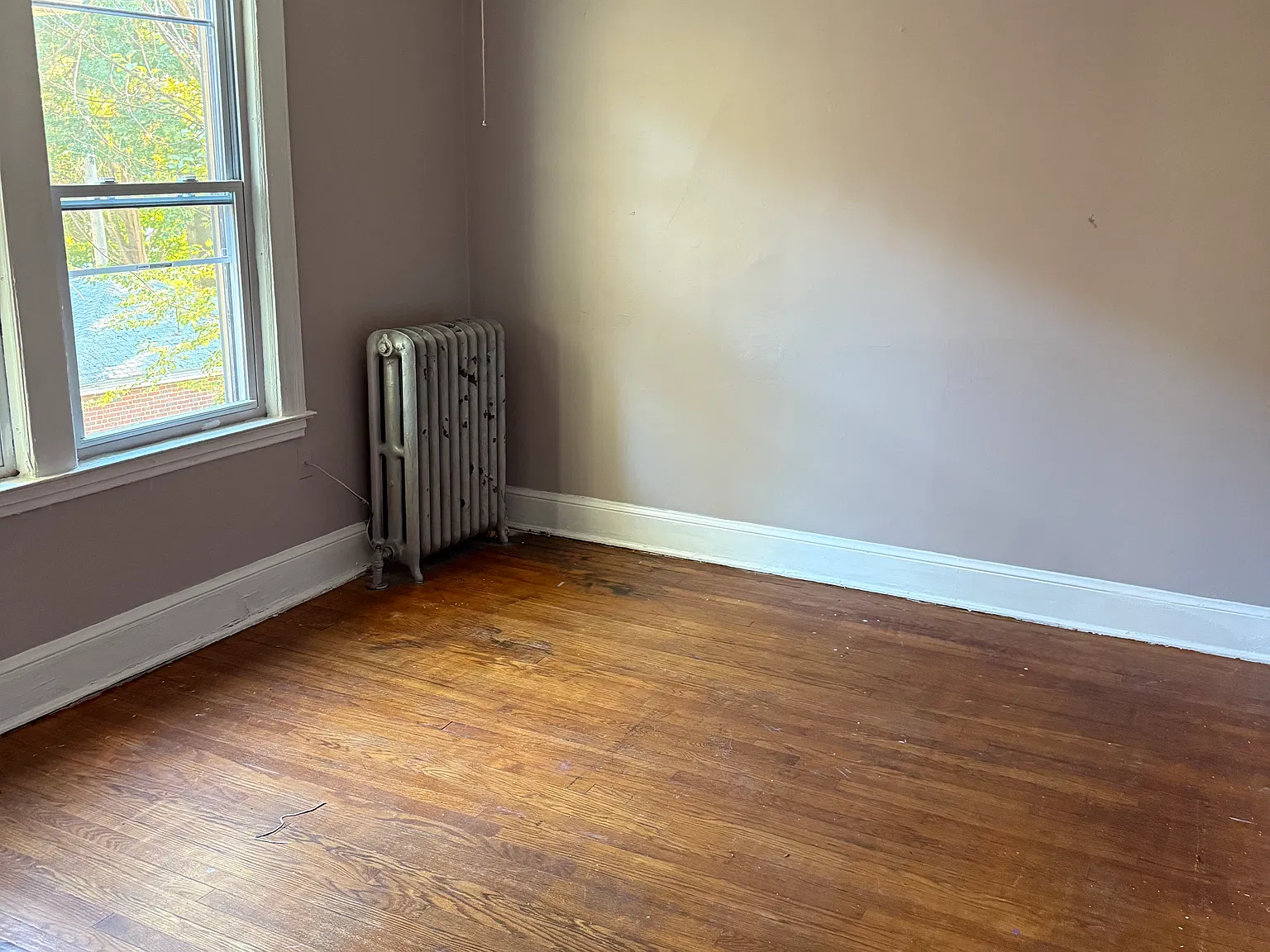 1 bed, 1200 sqft, $1,300 — Photo 3