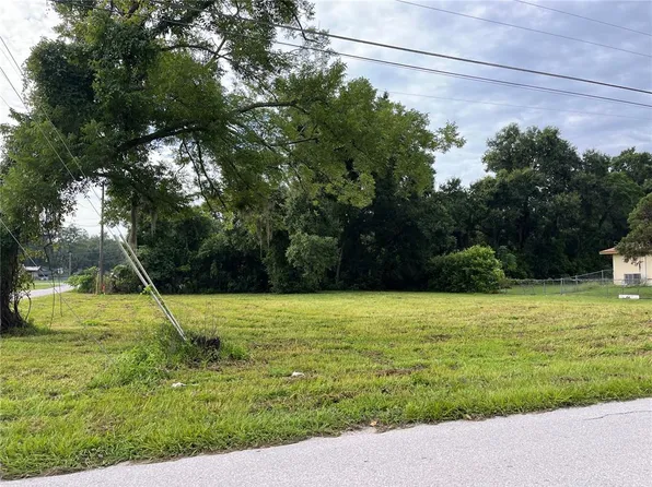SE Babb Rd Lot 1, Belleview, FL 34420