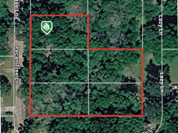 Pecan Tree Ln, Montgomery, TX 77316