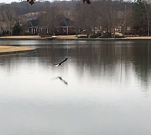 4th image of 2900 Eastern Shore Dr SE