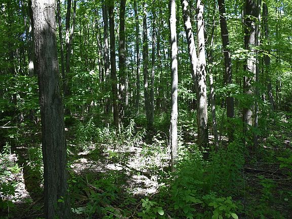4th image of 3210-72-6 Blooming Valley Rd