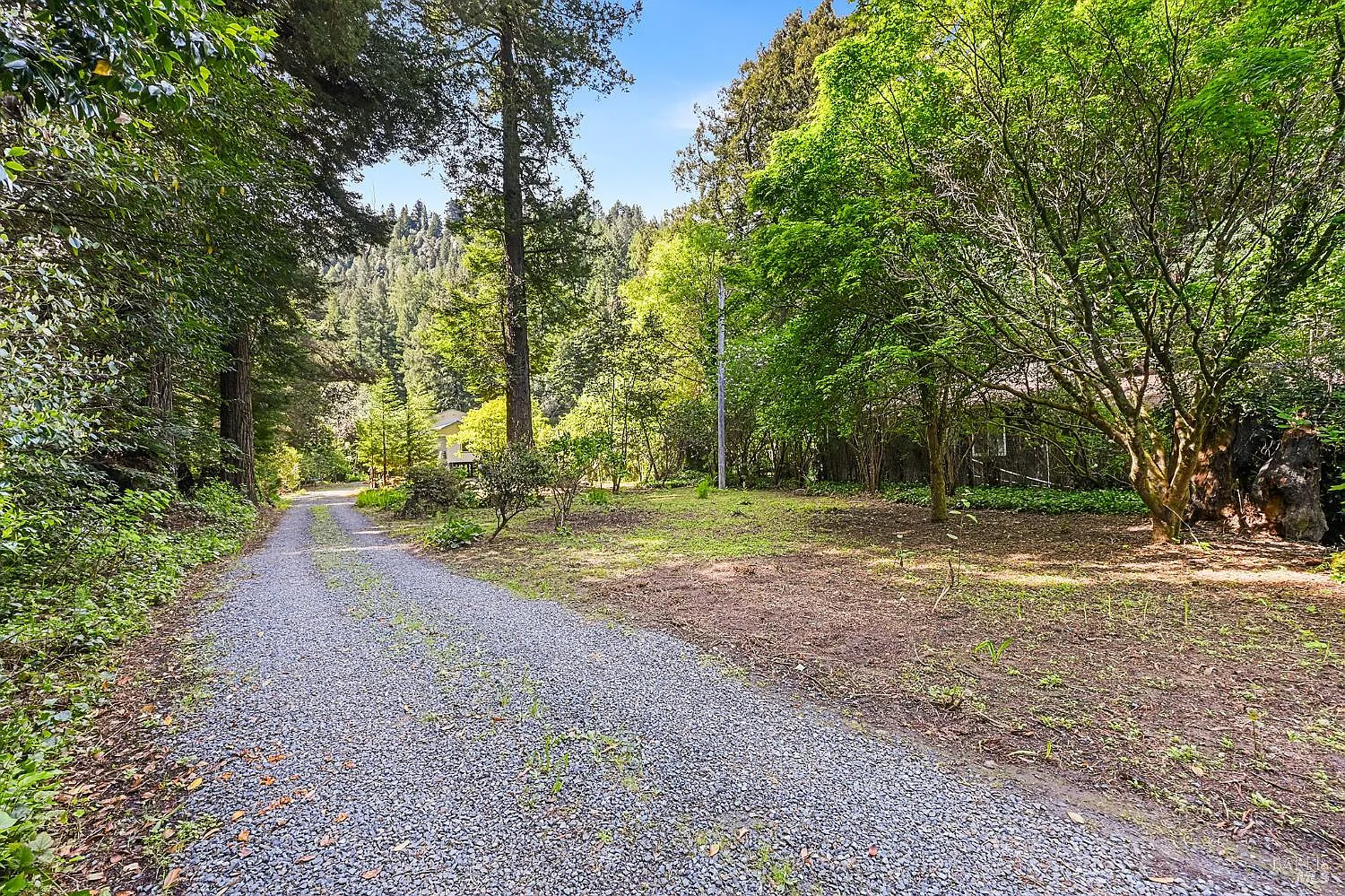 1365 Austin Creek Road - Photo 8