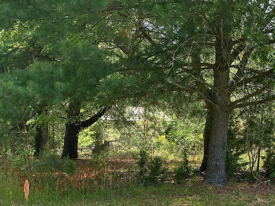 2nd image of 20877 Orchard Rd