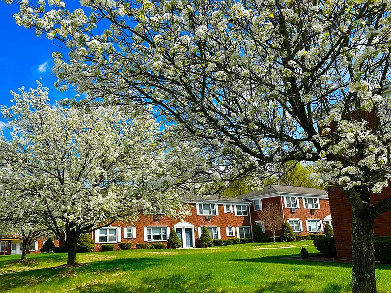 Ridgefield Apartments — Photo 6