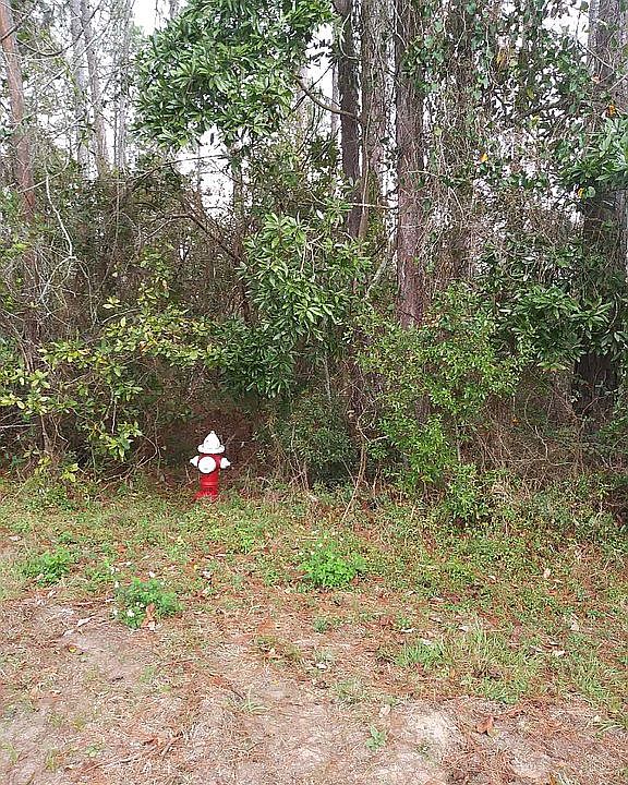 Uncleared Lot.