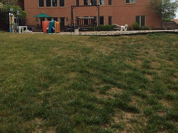 Grass has been re-sodded.