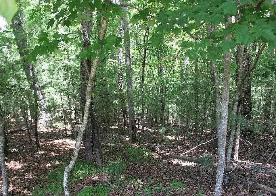 1st image of 0 Hart Ct #3421