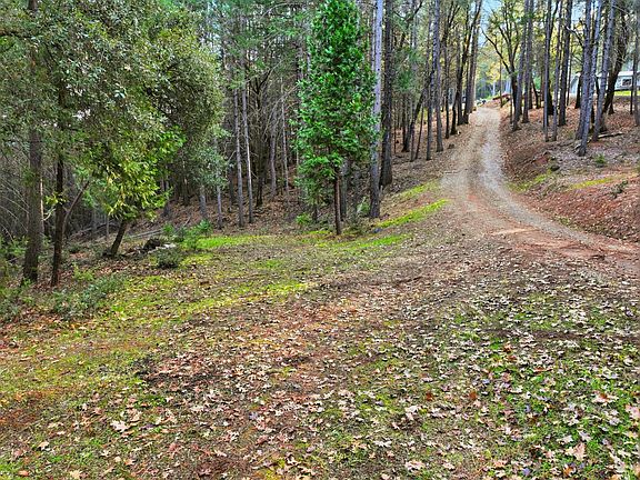 12th image of 17631 Greenhorn Rd