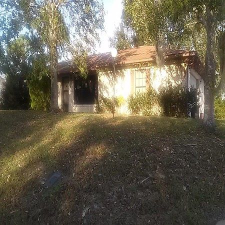 1st image of 2629 Travelers Palm Dr