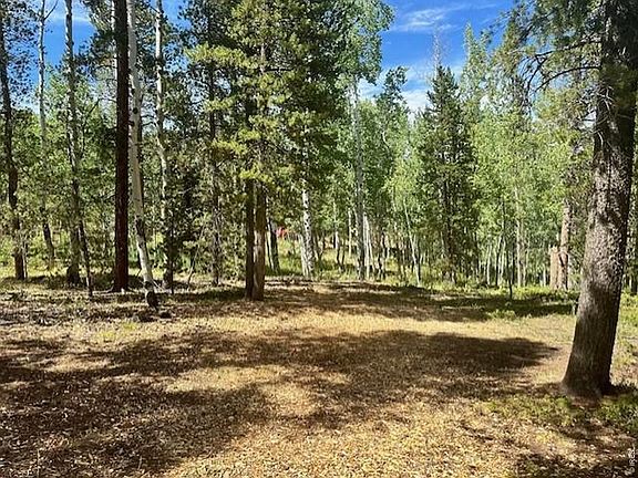 3rd image of 293 Aspen Cir