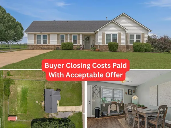 5641 N County Road 917, Blytheville, AR 72315