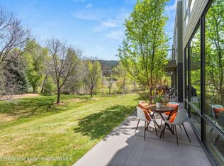 202 Evans Rd Unit 101, El Jebel, CO 81621