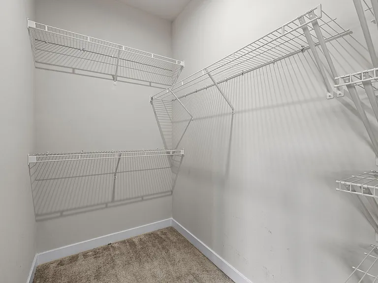 245 Climbing Ivy Cir — Photo 10