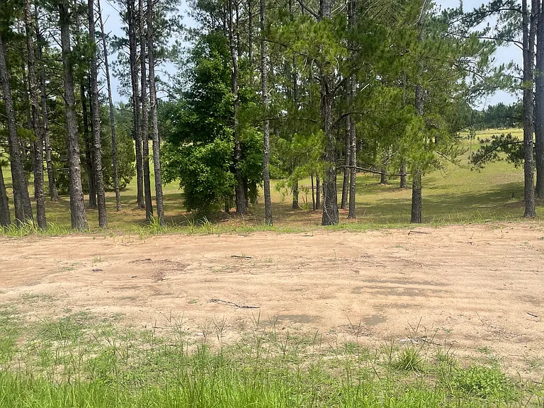9 Cedar Tree Pl — Photo 23