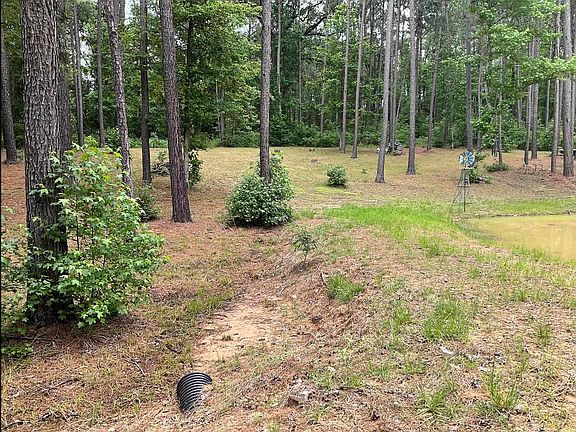 5th image of 768 County Road 219