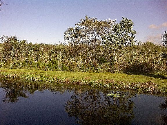 backyard view of canal