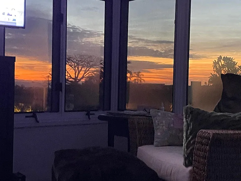 Views from inside living room